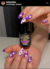 BIO SEAWEED GEL UNITY 258 REGINA
