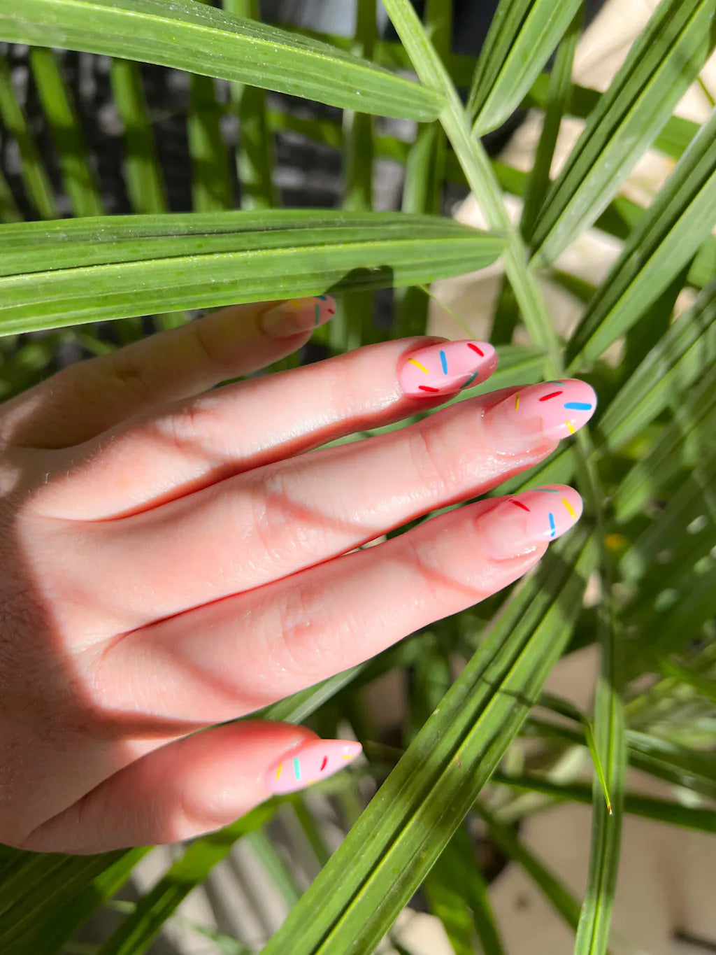 BIO SEAWEED GEL UNITY 250 CHARLOTTETOWN