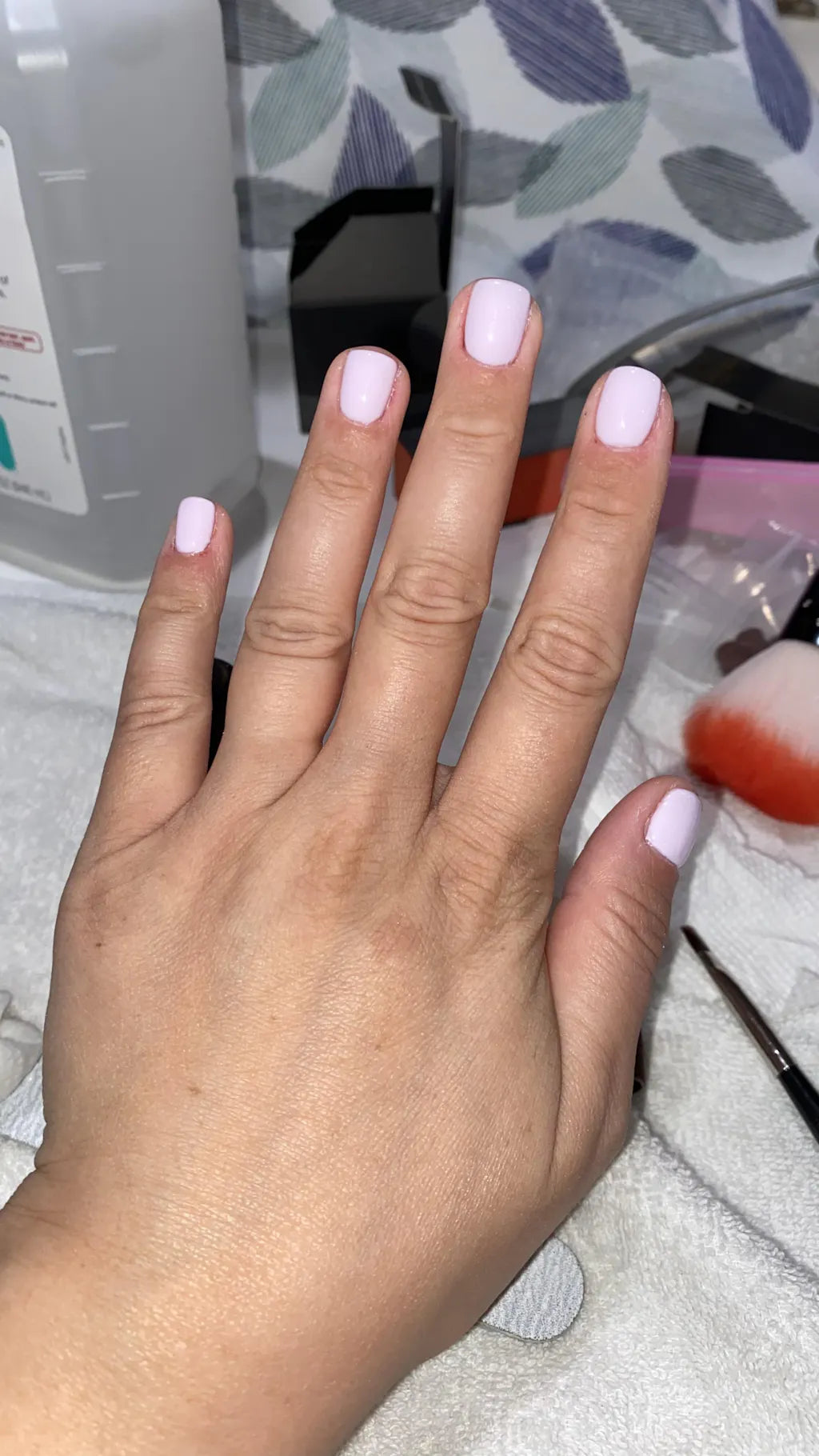 BIO SEAWEED GEL 3STEP 36 SUGAR