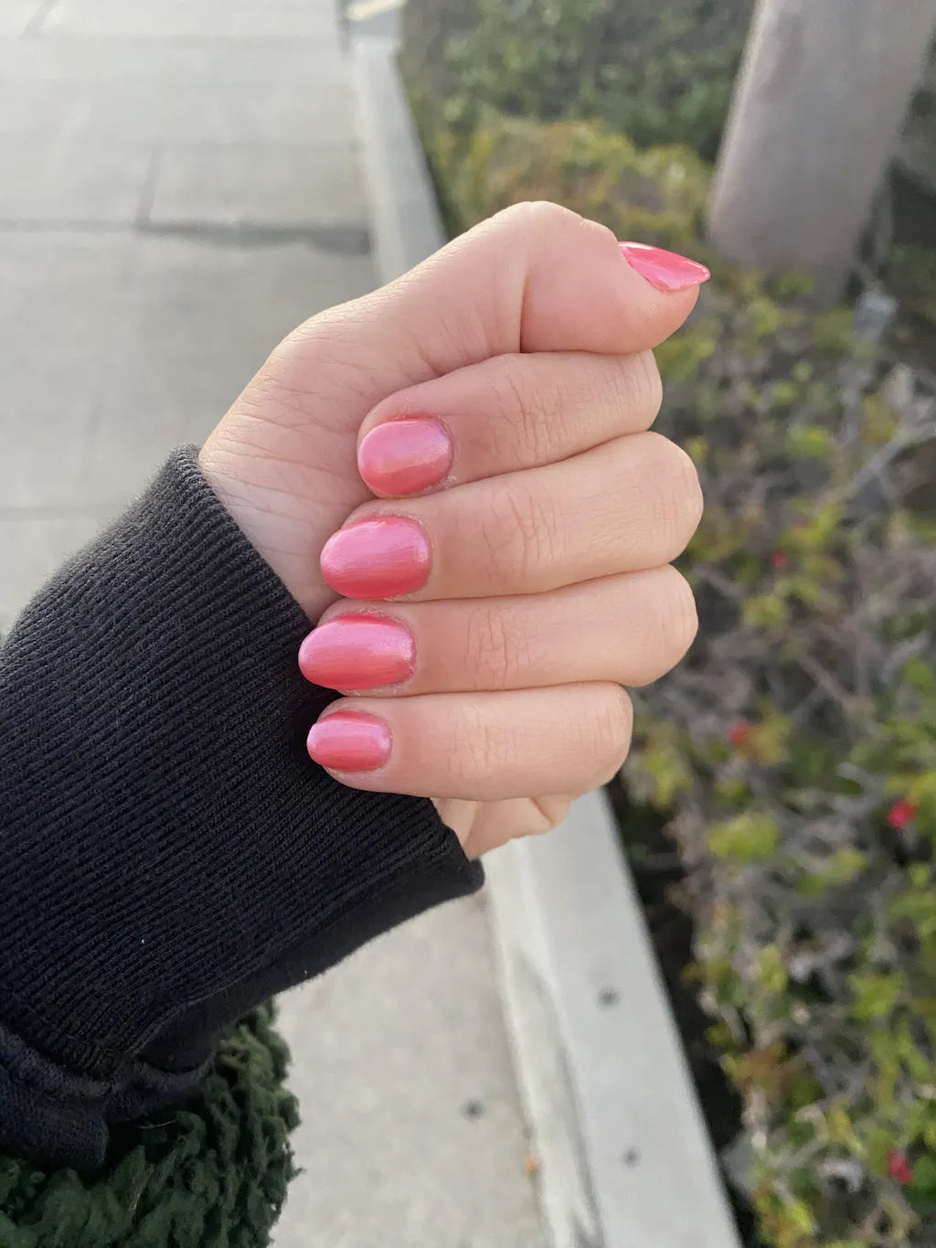 BIO SEAWEED GEL UNITY 241 CUPCAKE