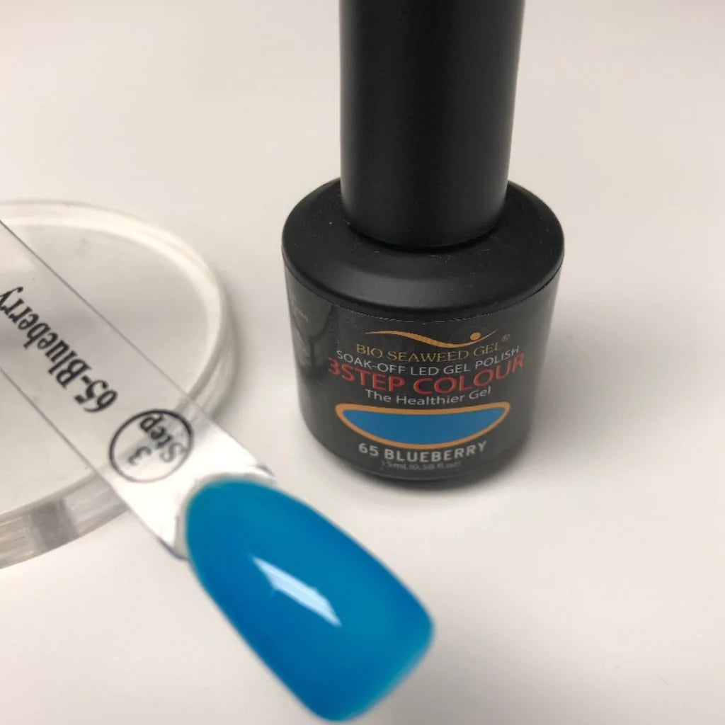 BIO SEAWEED GEL 3STEP 65 BLUEBERRY