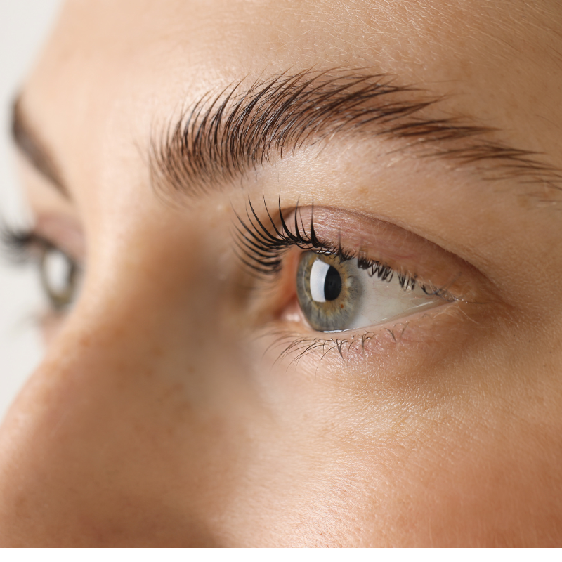 EYELASH SERVICES