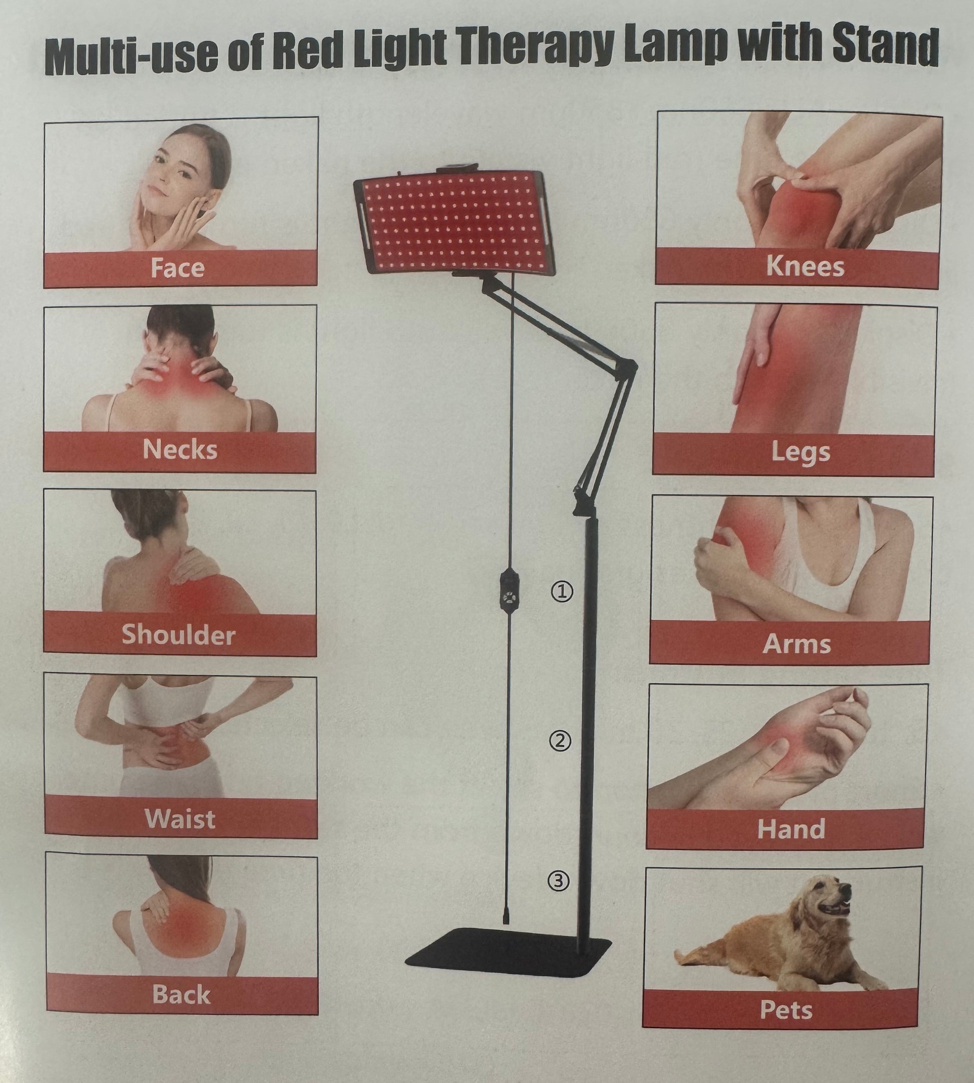 Red light therapy lamp with images showing its use on various parts of the body and a dog.